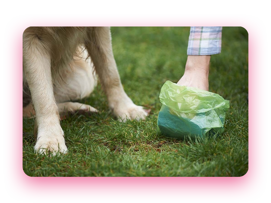 Pet waste management technician hard at work